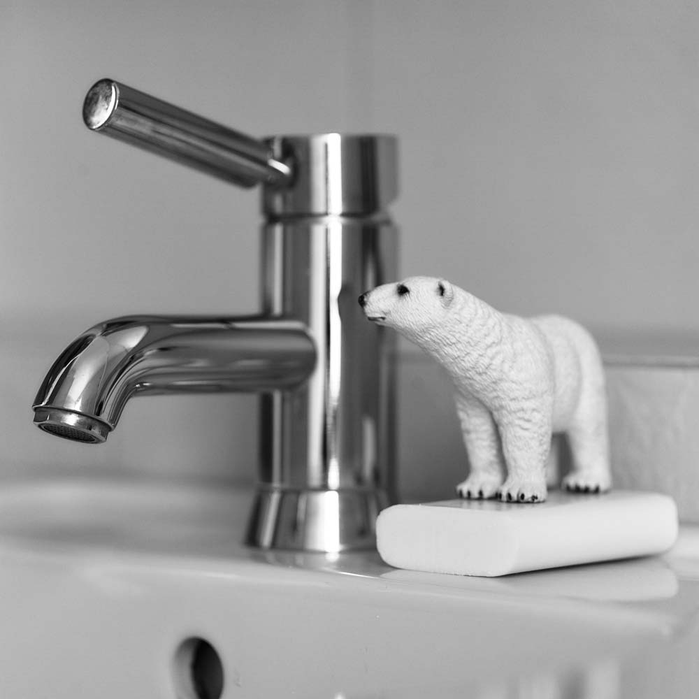 ecostore soap polar bear