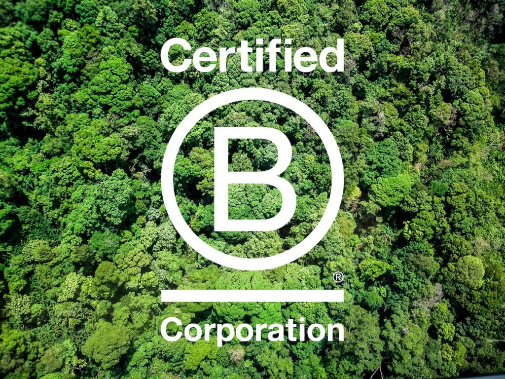 Ecostore B Corp
